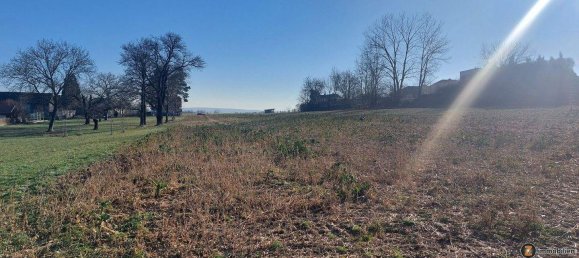 Terrain à Steinberg-Dorfl, Austria No. 242985 3