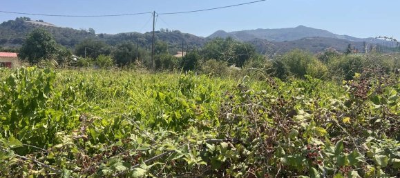 Hotel en Zakynthos, Greece No. 8558 2