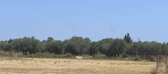 Hotel en Zakynthos, Greece No. 8558 17