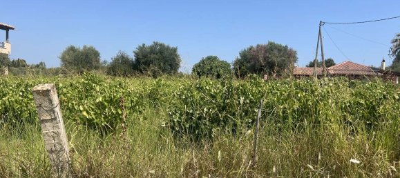 Hotel en Zakynthos, Greece No. 8558 20