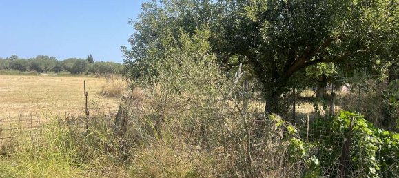 Hotel en Zakynthos, Greece No. 8558 16