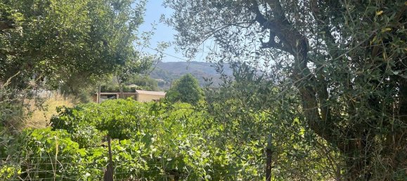 Hotel en Zakynthos, Greece No. 8558 12