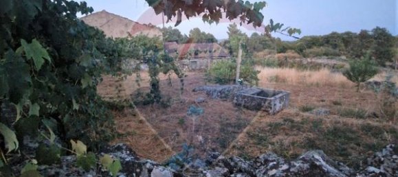 1 bedroom House in Murca, Portugal No. 168587 7