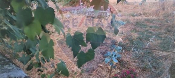 1 bedroom House in Murca, Portugal No. 168587 11