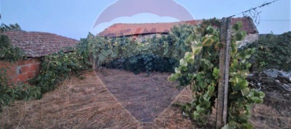 1 bedroom House in Murca, Portugal No. 168587 8