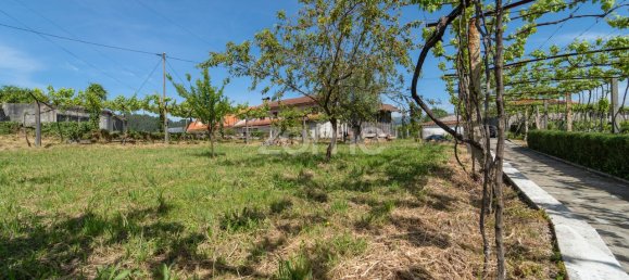 5 Schlafzimmer Haus in Ponte de Lima, Portugal, Nr. 89071 50