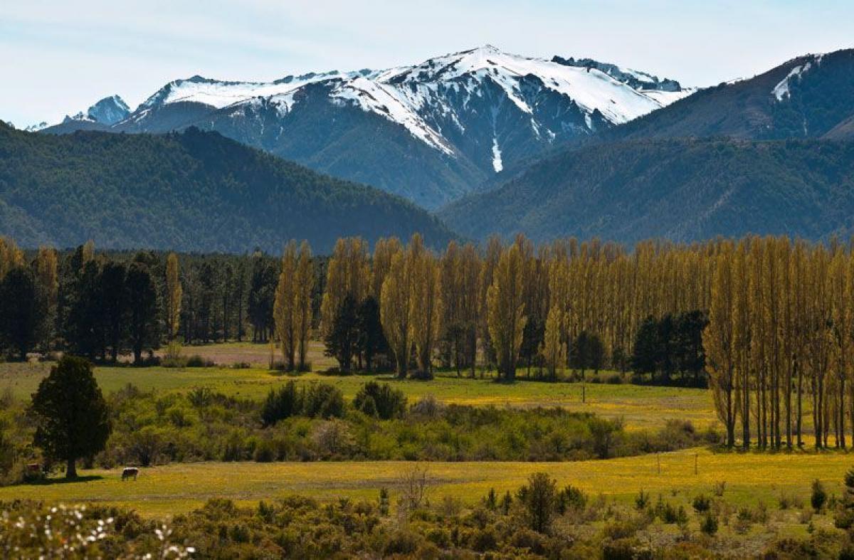  Land in San Carlos de Bariloche, Argentina No. 43492