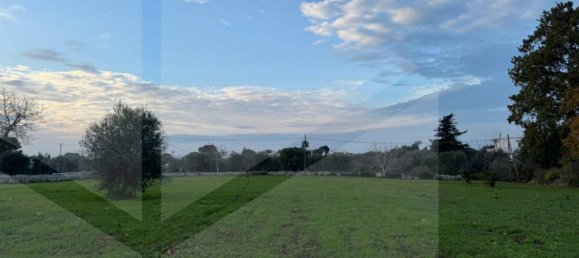 Estudio en Monopoli, Italy No. 20426 8