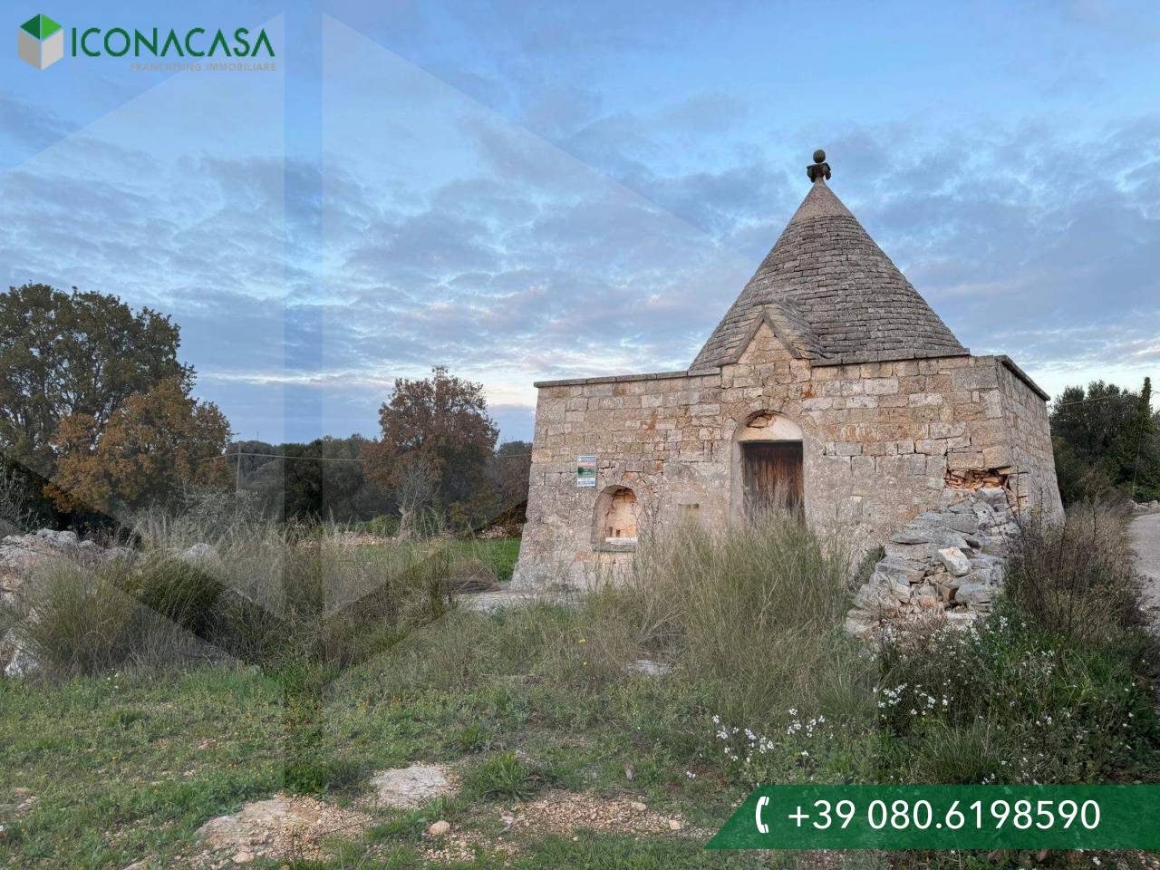 Estudio en Monopoli, Italy No. 20426