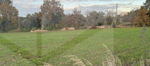 Estudio en Monopoli, Italy No. 20426 3