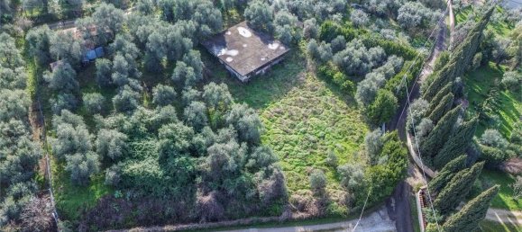 8 bedrooms Villa in Pietrasanta, Italy No. 135913 6