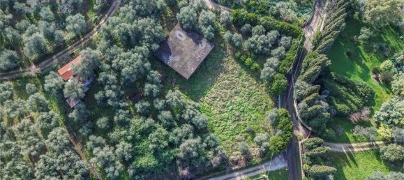 8 bedrooms Villa in Pietrasanta, Italy No. 135913 5