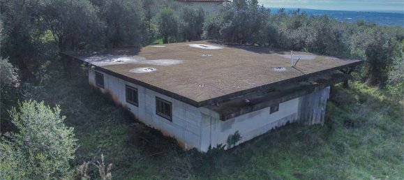 8 bedrooms Villa in Pietrasanta, Italy No. 135913 3