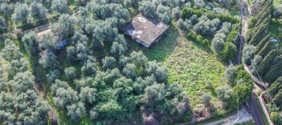 8 bedrooms Villa in Pietrasanta, Italy No. 135913 7