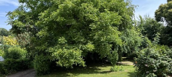 Villa de 5 dormitorios en Auchy-les-Hesdin, France No. 332865 20