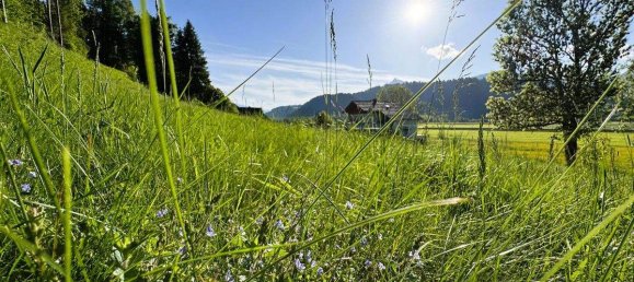 Grundstück in Liezen, Austria, Nr. 94307 5