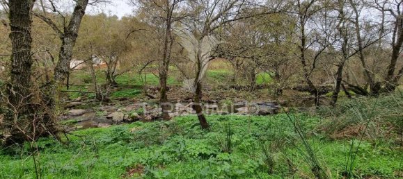 4 غرف نوم قلاع في Montemor o Novo, Portugal رقم 15072 6