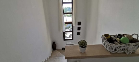 4 chambres propriété commerciale à vendre à Paphos, Cyprus № 9649 11