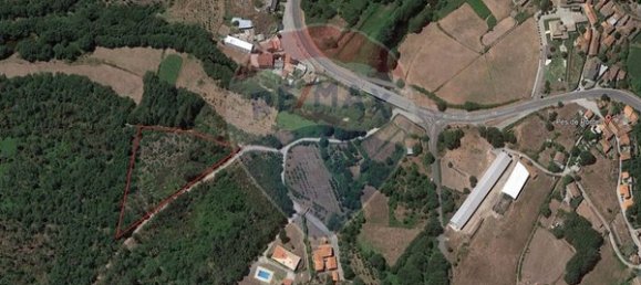 2520m² Land in Vouzela, Portugal No. 42382 4