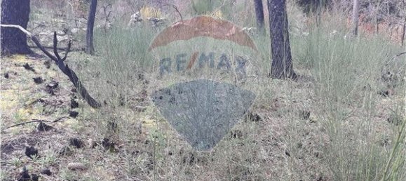 2520m² Land in Vouzela, Portugal No. 42382 3