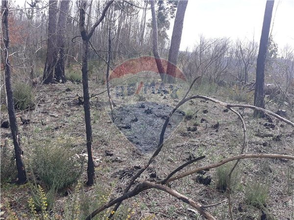 2520m² Land in Vouzela, Portugal No. 42382