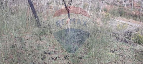 2520m² Land in Vouzela, Portugal No. 42382 5