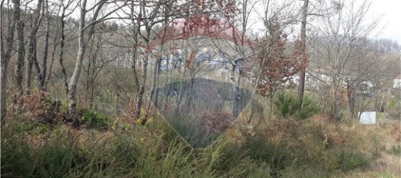 2520m² Land in Vouzela, Portugal No. 42382 6