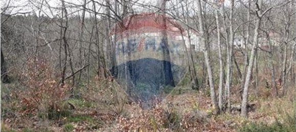 2520m² Land in Vouzela, Portugal No. 42382 2