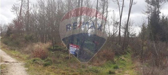 2520m² Land in Vouzela, Portugal No. 42382 7