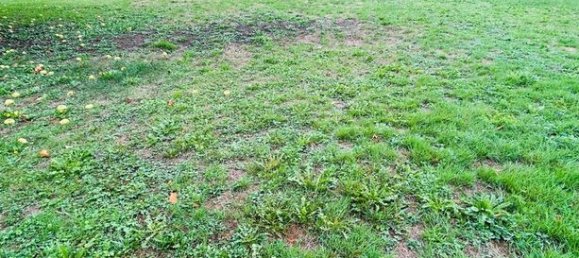 قطعة أرض في Yonne, France 2400متر مربع رقم 353276 4