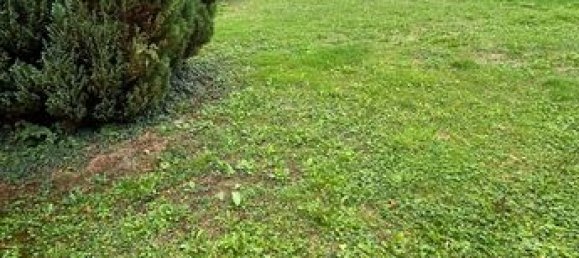 قطعة أرض في Yonne, France 2400متر مربع رقم 353276 2