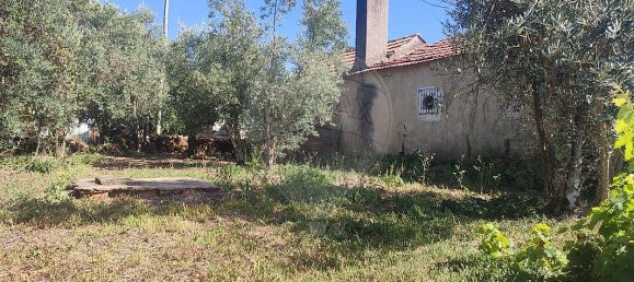 3 chambres Maison à Alvaiazere, Portugal No. 17898 20