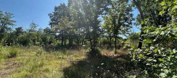 7-salle Maison à Imola, Italy No. 283277 13