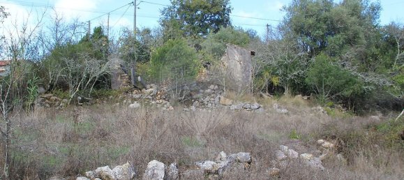 Дом с 2 спальнями в Ансиан, Португалия № 29243 12