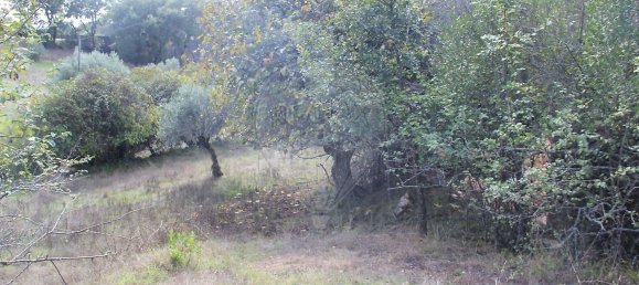 Дом с 2 спальнями в Ансиан, Португалия № 29243 6