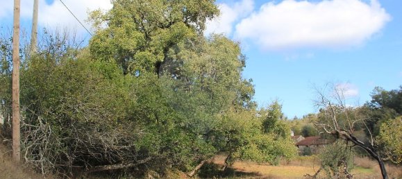 Дом с 2 спальнями в Ансиан, Португалия № 29243 22