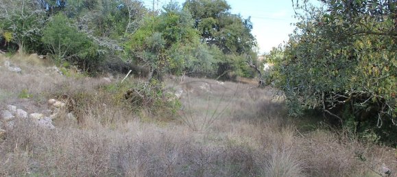 Дом с 2 спальнями в Ансиан, Португалия № 29243 13