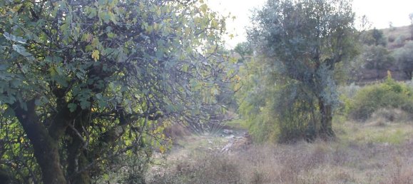 Дом с 2 спальнями в Ансиан, Португалия № 29243 18