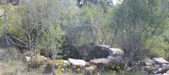 Дом с 2 спальнями в Ансиан, Португалия № 29243 7