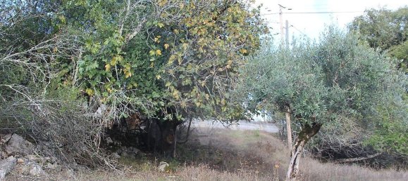 Дом с 2 спальнями в Ансиан, Португалия № 29243 25