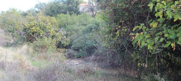 Дом с 2 спальнями в Ансиан, Португалия № 29243 26