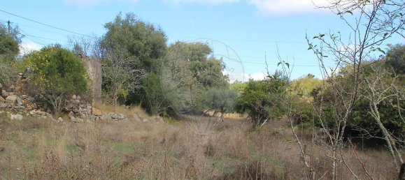 Дом с 2 спальнями в Ансиан, Португалия № 29243 8