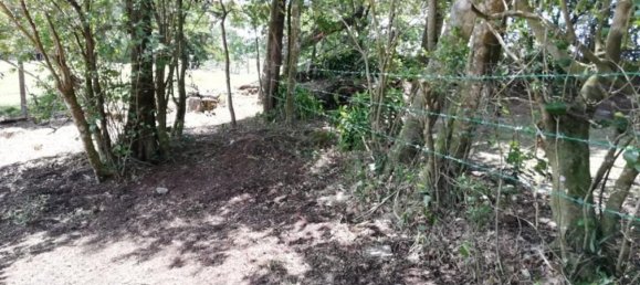  قطعة أرض في Puntarenas, Costa Rica رقم 1734 5