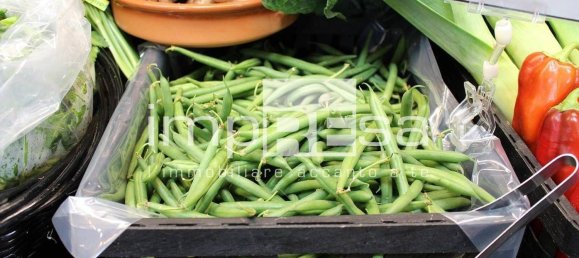 70m² Office in Montebelluna, Italy No. 196166 5