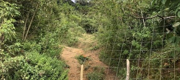 Terrain à Desamparados, Costa Rica No. 1852 4