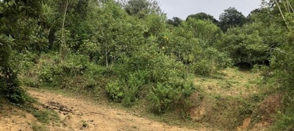 Terrain à Desamparados, Costa Rica No. 1852 5