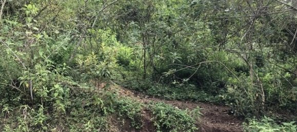 Terrain à Desamparados, Costa Rica No. 1852 6