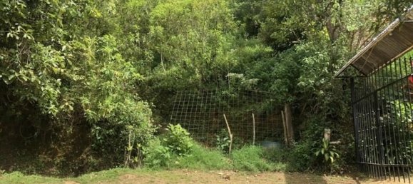 Terrain à Desamparados, Costa Rica No. 1852 3