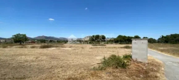 1 bedroom House in Aspe, Spain No. 25814 5