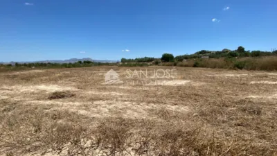 1 bedroom House in Aspe, Spain No. 25814